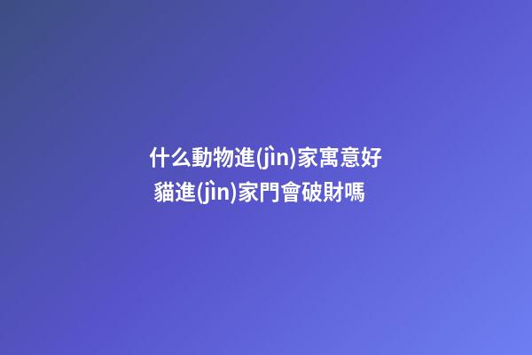 什么動物進(jìn)家寓意好 貓進(jìn)家門會破財嗎